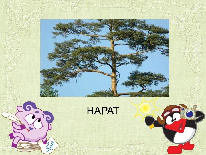 НАРАТ