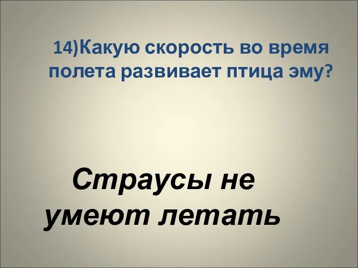 14)Какую скорость во время полета развивает птица эму? Страусы не умеют летать