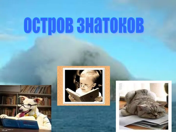 остров знатоков