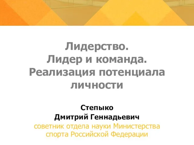 Лидерство. Лидер и команда. Реализация потенциала личности Степыко Дмитрий Геннадьевич