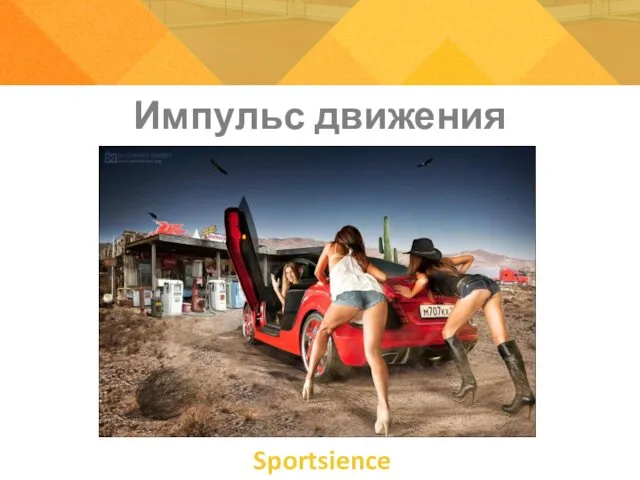 Импульс движения Sportsience