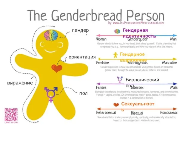 гендер ориентация пол выражение Гендерное выражение Гендерная идентичность Биологический пол Сексуальность