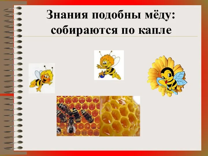 Знания подобны мёду: собираются по капле