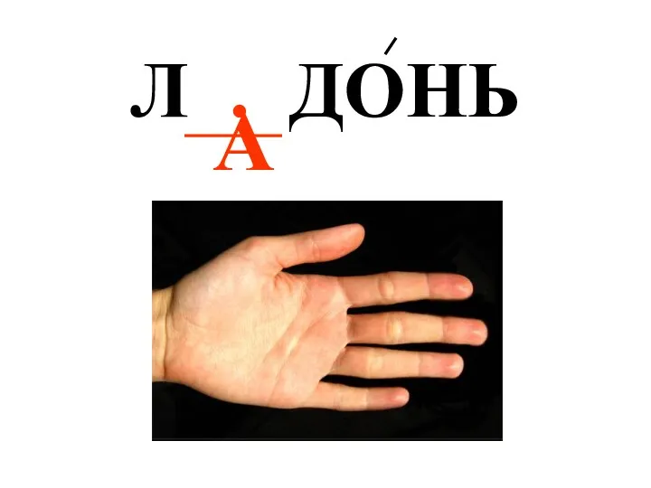 А Л . ДОНЬ