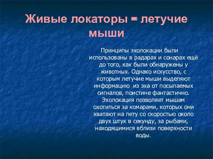 Живые локаторы - летучие мыши Принципы эхолокации были использованы в