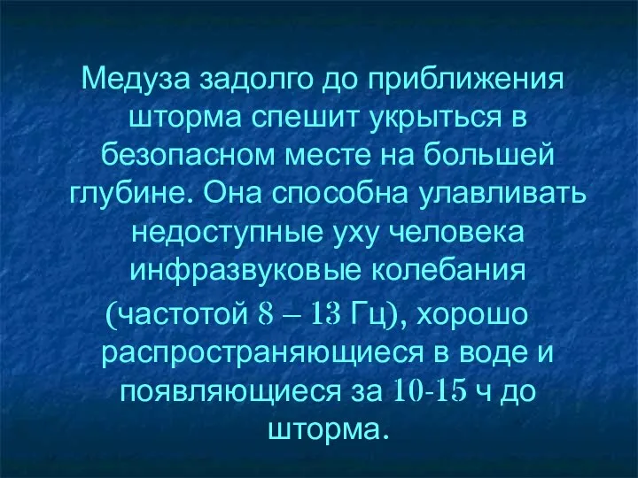 Медуза задолго до приближения шторма спешит укрыться в безопасном месте