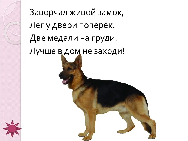 Заворчал живой замок, Лёг у двери поперёк. Две медали на груди. Лучше в дом не заходи!