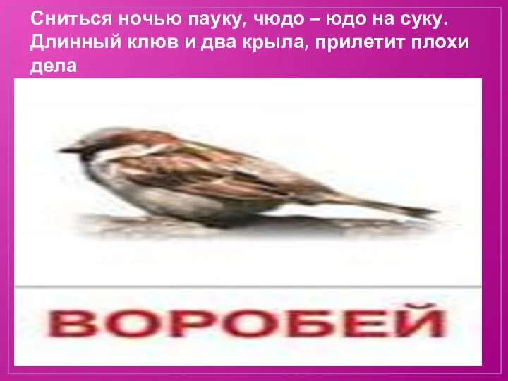 Сниться ночью пауку, чюдо – юдо на суку. Длинный клюв и два крыла, прилетит плохи дела