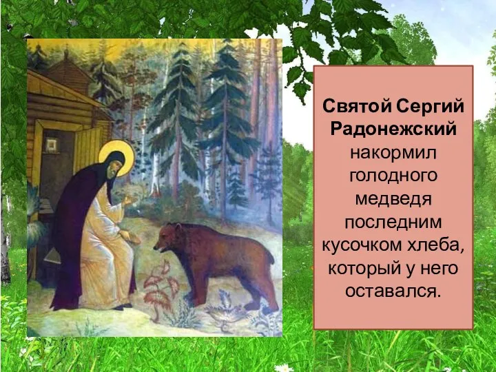Святой Сергий Радонежский накормил голодного медведя последним кусочком хлеба, который у него оставался.