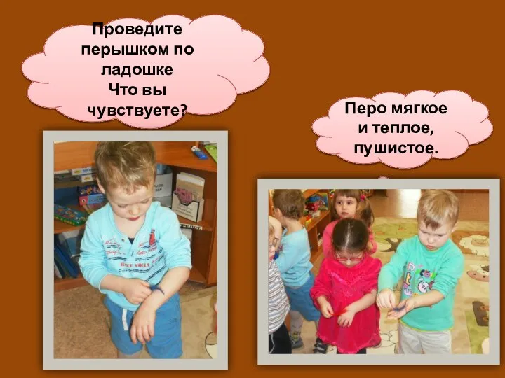 Проведите перышком по ладошке Что вы чувствуете? Перо мягкое и теплое, пушистое.