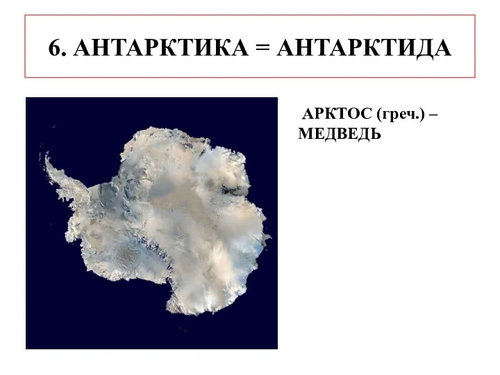 6. АНТАРКТИКА = АНТАРКТИДА АРКТОС (греч.) – МЕДВЕДЬ