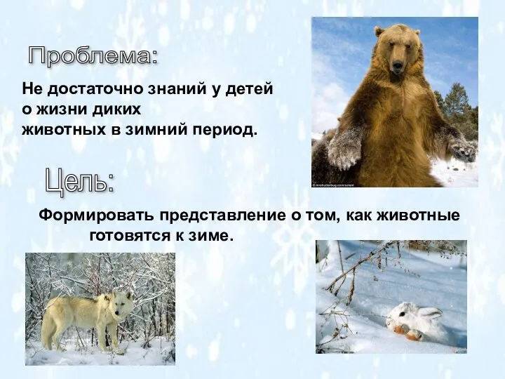 Не достаточно знаний у детей о жизни диких животных в зимний период. Проблема: