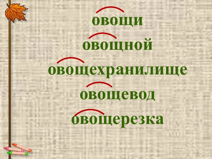 овощи овощной овощехранилище овощевод овощерезка