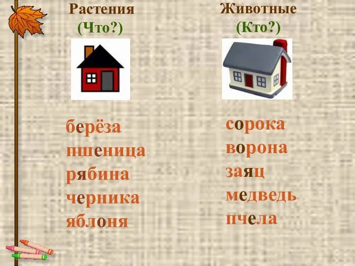 берёза пшеница рябина черника яблоня Растения (Что?) Животные (Кто?) сорока ворона заяц медведь пчела