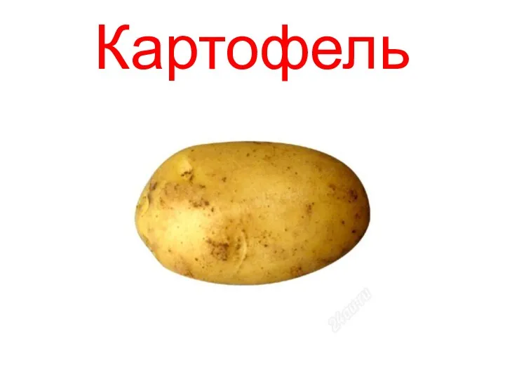 Картофель