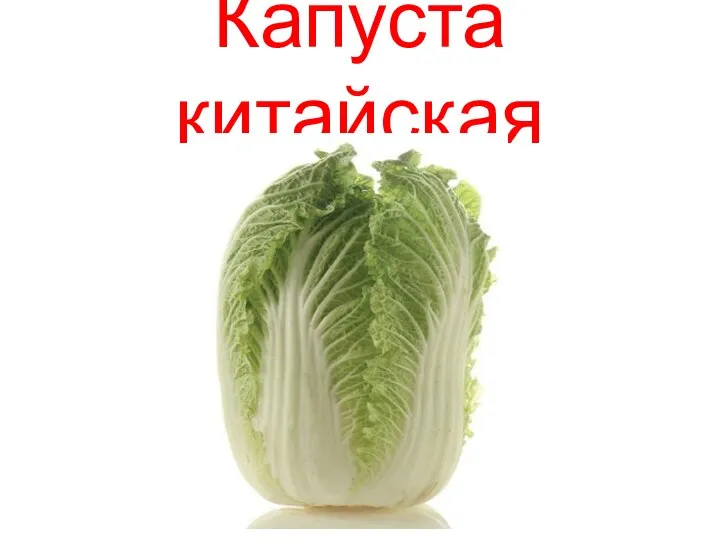 Капуста китайская