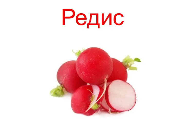 Редис