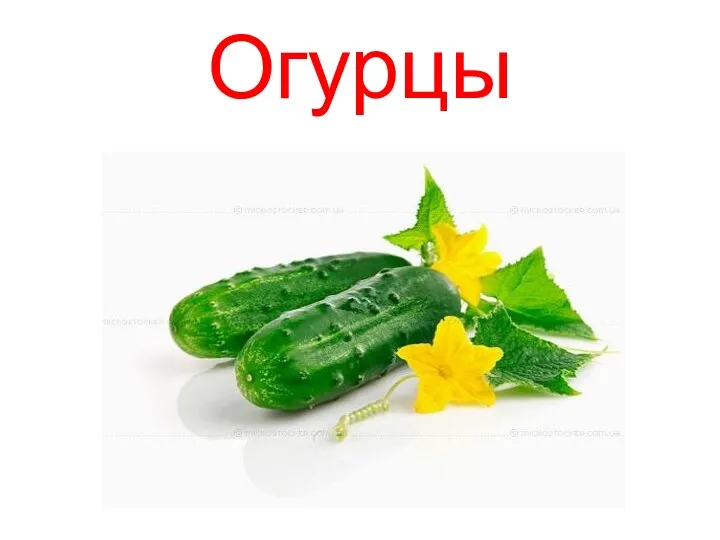 Огурцы