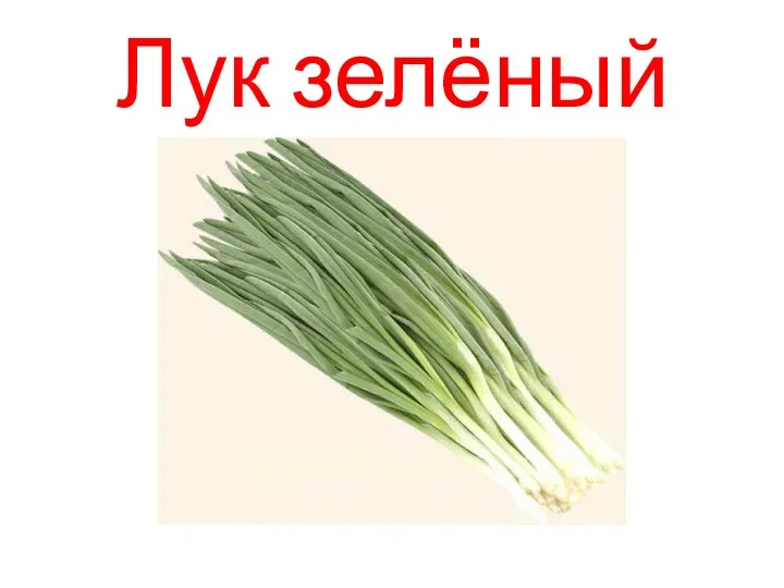 Лук зелёный