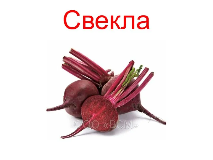 Свекла