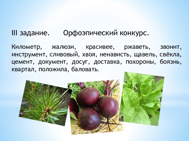 III задание. Орфоэпический конкурс. Километр, жалюзи, красивее, ржаветь, звонит, инструмент,