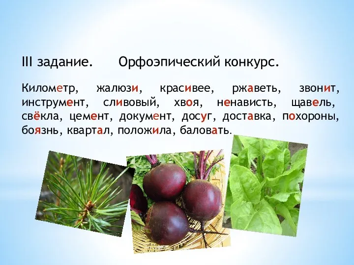 III задание. Орфоэпический конкурс. Километр, жалюзи, красивее, ржаветь, звонит, инструмент,