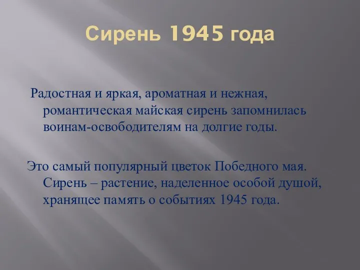 Сирень 1945 года Радостная и яркая, ароматная и нежная, романтическая