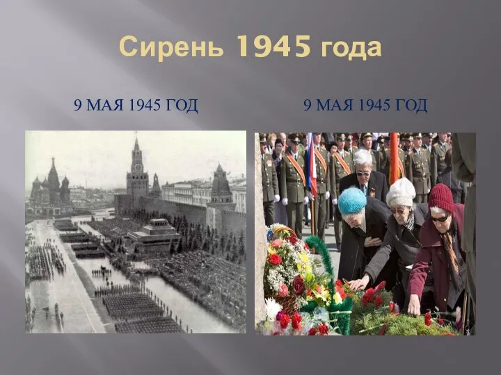 Сирень 1945 года 9 МАЯ 1945 ГОД 9 МАЯ 1945 ГОД