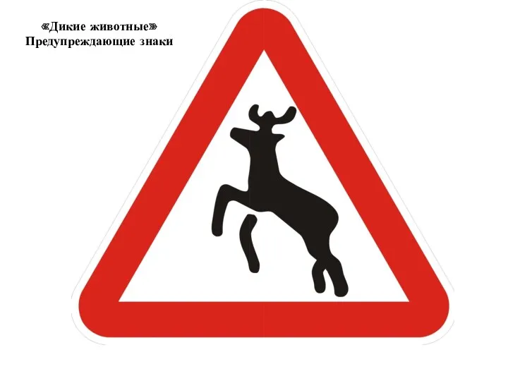 «Дикие животные» Предупреждающие знаки