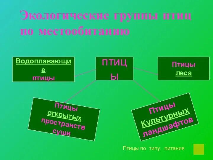 Экологические группы птиц по местообитанию птицы Птицы открытых пространств суши