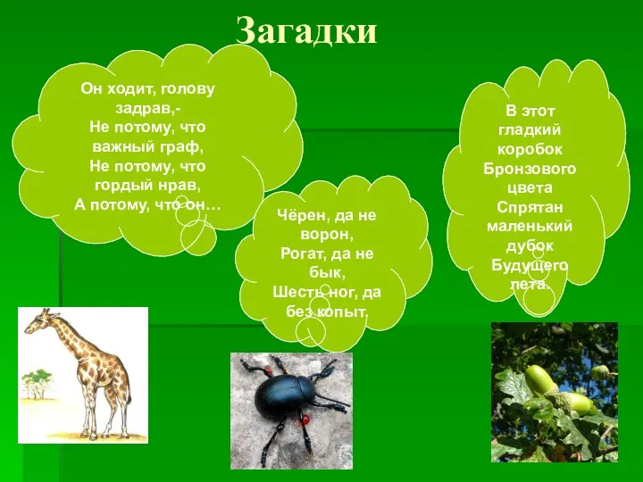 Загадки Он ходит, голову задрав,- Не потому, что важный граф,