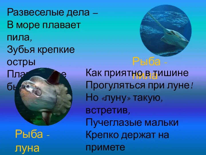 Развеселые дела – В море плавает пила, Зубья крепкие остры