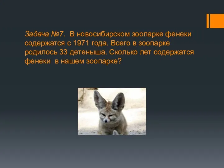 Задача №7. В новосибирском зоопарке фенеки содержатся с 1971 года.