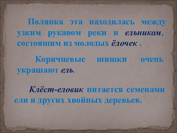 Полянка эта находилась между узким рукавом реки и ельником, состоящим