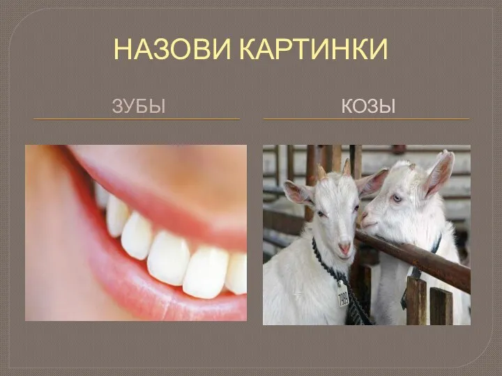 НАЗОВИ КАРТИНКИ зубы козы