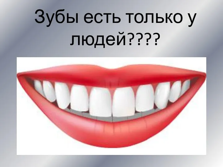 Зубы есть только у людей????