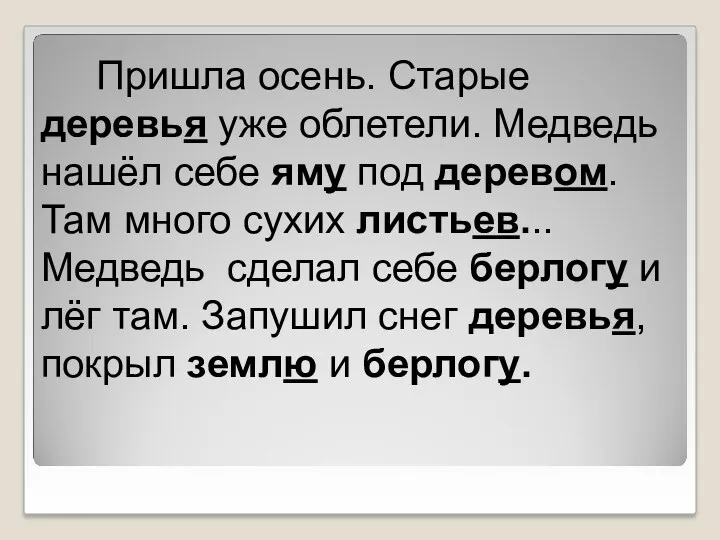 Пришла осень. Старые деревья уже облетели. Медведь нашёл себе яму