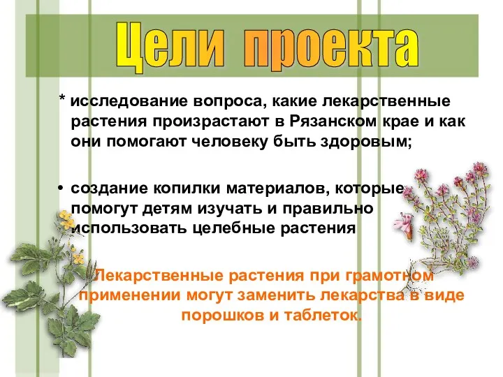 * исследование вопроса, какие лекарственные растения произрастают в Рязанском крае и как они