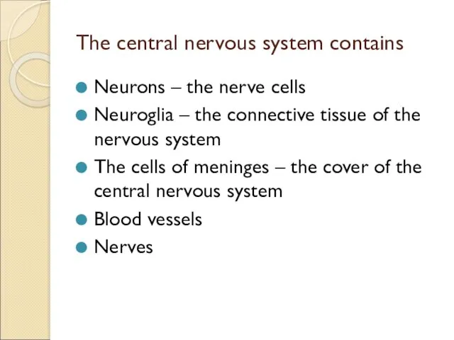 The central nervous system contains Neurons – the nerve cells