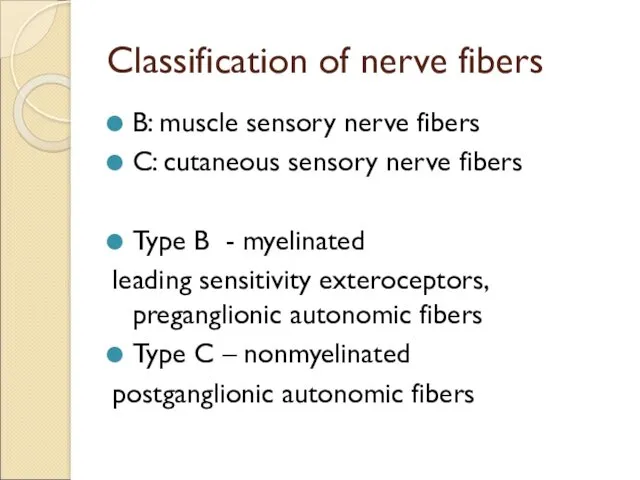 Classification of nerve fibers B: muscle sensory nerve fibers C:
