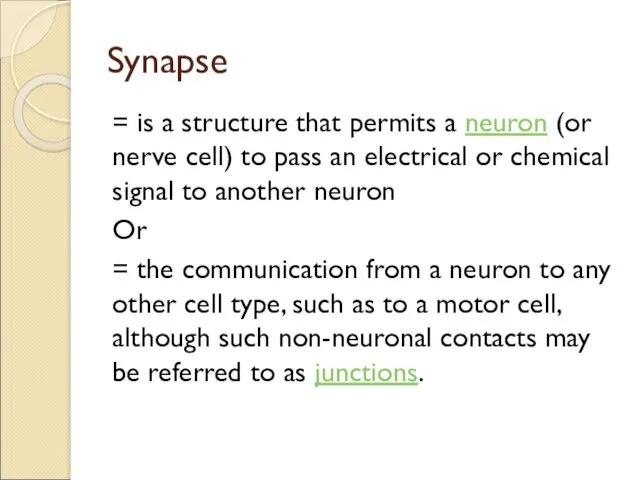 Synapse = is a structure that permits a neuron (or