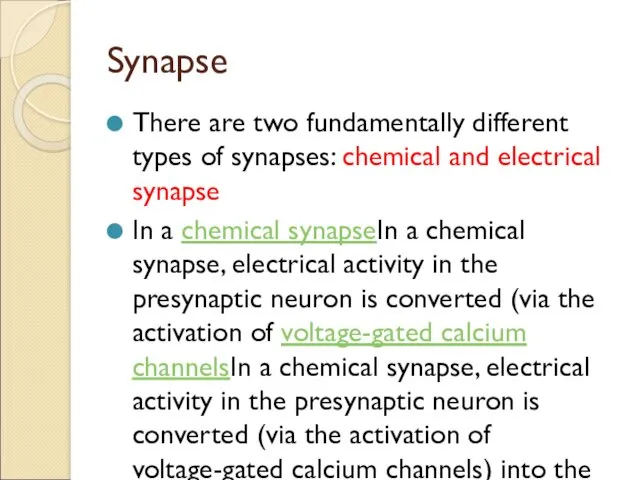 Synapse There are two fundamentally different types of synapses: chemical