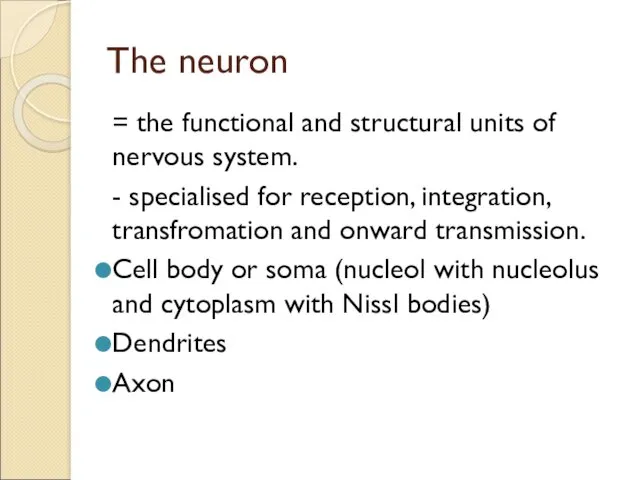 The neuron = the functional and structural units of nervous