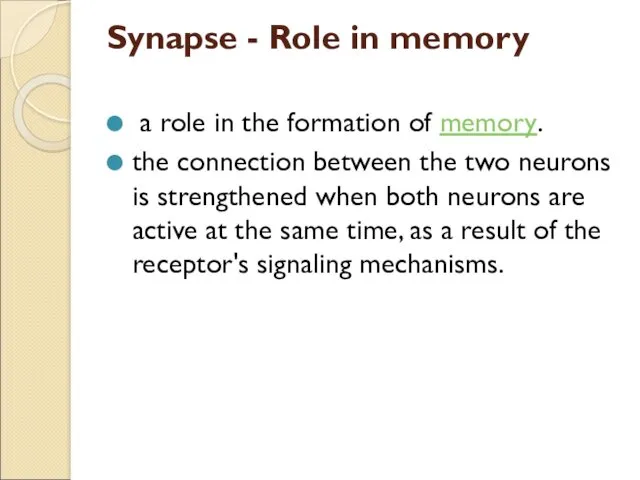 Synapse - Role in memory a role in the formation