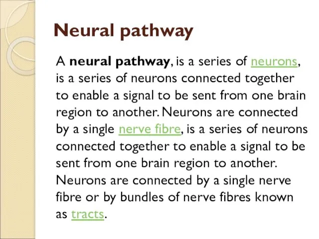 Neural pathway A neural pathway, is a series of neurons,