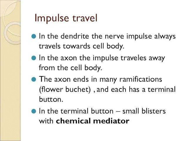 Impulse travel In the dendrite the nerve impulse always travels