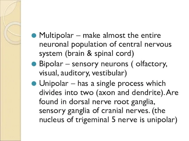 Multipolar – make almost the entire neuronal population of central