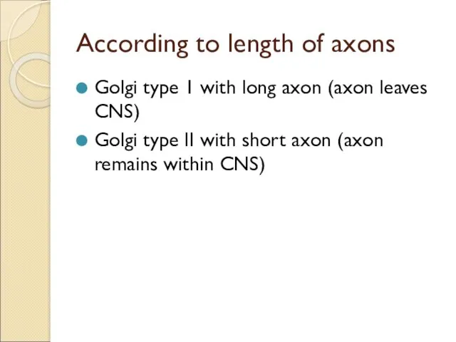 According to length of axons Golgi type 1 with long