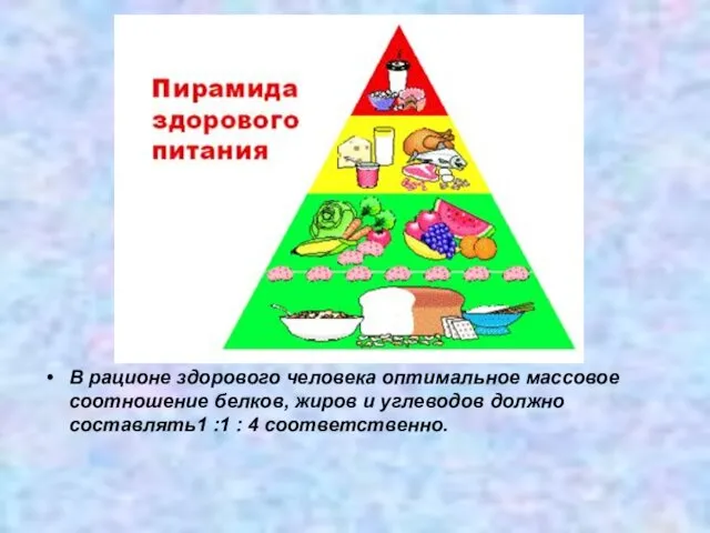 В рационе здорового человека оптимальное массовое соотношение белков, жиров и