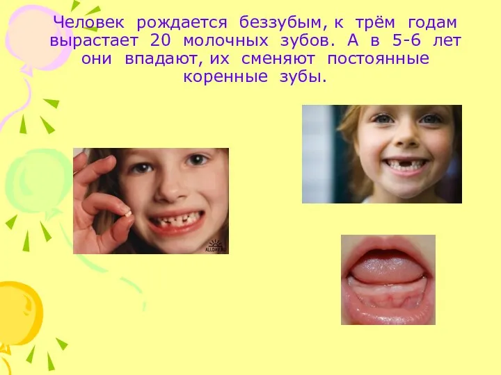 Человек рождается беззубым, к трём годам вырастает 20 молочных зубов. А в 5-6